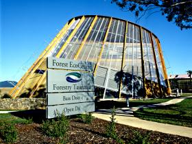 Forest EcoCentre - QLD Tourism 0
