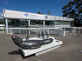 Australia's Antarctic Headquarters - QLD Tourism 0
