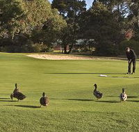 Royal Hobart Golf Club - Queensland Tourism