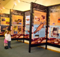 Platypus Experience - Queensland Tourism