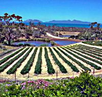Kate's Berry Farm - Queensland Tourism