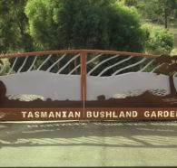 Tasmanian Bushland Garden - Queensland Tourism
