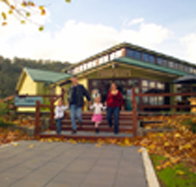 Australian Axeman's Hall of Fame - QLD Tourism