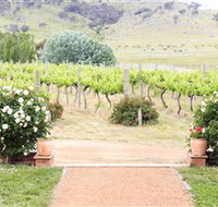 Brindabella Hills Winery - Queensland Tourism