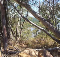 Black Mountain - Queensland Tourism