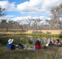 Canberra Nature Park - Queensland Tourism