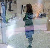 Beaver Galleries - Queensland Tourism