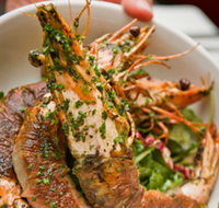 Bicicletta - Queensland Tourism