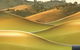 Canberra District Wine Region - thumb 0