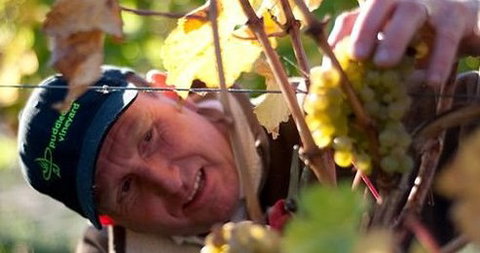 Puddleduck Vineyard - Queensland Tourism 0