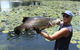 Barra Feeding - thumb 0