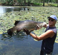 Barra Feeding - Queensland Tourism
