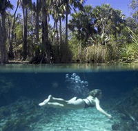 Bitter Springs - Queensland Tourism