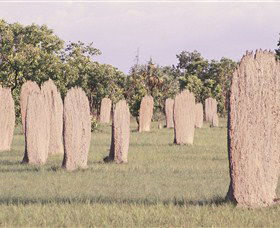 Magnetic Termite Mounds - QLD Tourism 0