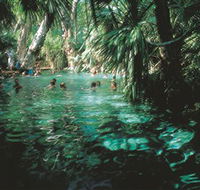 Mataranka Thermal Pool - Queensland Tourism