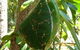 Greenant Creek Walk - thumb 0