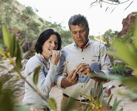 Simpsons Gap - QLD Tourism 0
