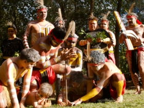 Riverlife Mirrabooka - Queensland Tourism 0