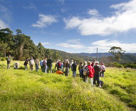 Springbrook QLD QLD Tourism