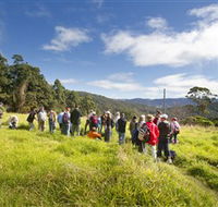 Apple Tree Park - Queensland Tourism