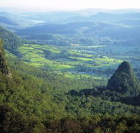 Springbrook Plateau Springbrook National Park - Queensland Tourism