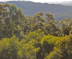 Elaman Creek QLD QLD Tourism