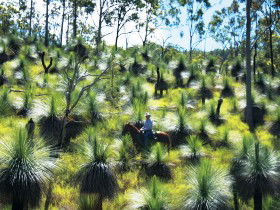 Kilkivan QLD QLD Tourism