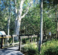 Kinaba Track - Queensland Tourism