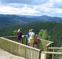 Kenilworth Forest Reserve - QLD Tourism