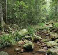 Amamoor State Forest - QLD Tourism