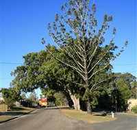 Anzac Avenue Memorial Trees Beerburrum - QLD Tourism