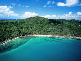 Noosa Heads Coastal Track - Queensland Tourism 0