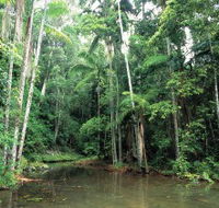 Mount Allan Trail - QLD Tourism