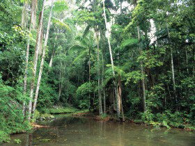 Mount Allan Trail - QLD Tourism 0