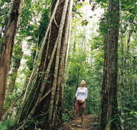 Wet Tropics - QLD Tourism