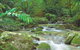 Mossman Gorge, Daintree National Park - thumb 0
