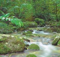 Mossman Gorge Daintree National Park - QLD Tourism