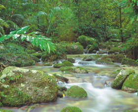 Mossman Gorge, Daintree National Park - QLD Tourism 0