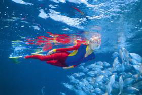  Queensland Tourism