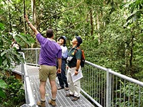 Daintree Discovery Centre - QLD Tourism 0