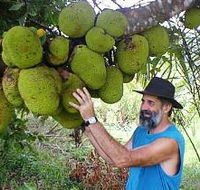 Cape Trib Exotic Fruit Farm - QLD Tourism
