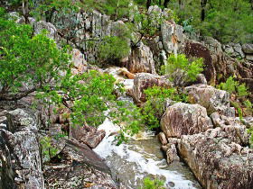 Crows Nest National Park - Queensland Tourism 0