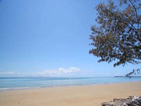 Blacks Beach QLD QLD Tourism
