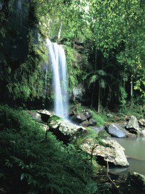 Tamborine QLD QLD Tourism