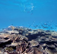 Australian Institute of Marine Science - Queensland Tourism