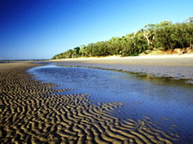 Burrum Coast National Park - Queensland Tourism 0