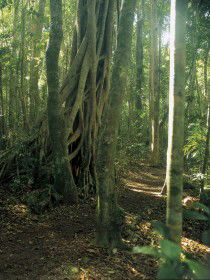  QLD Tourism