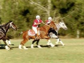 Warwick QLD Queensland Tourism