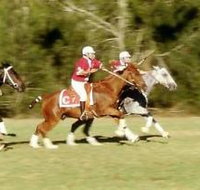 Morgan Park - Queensland Tourism