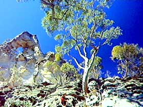 Mount Moffatt Section - Carnarvon National Park - QLD Tourism 0